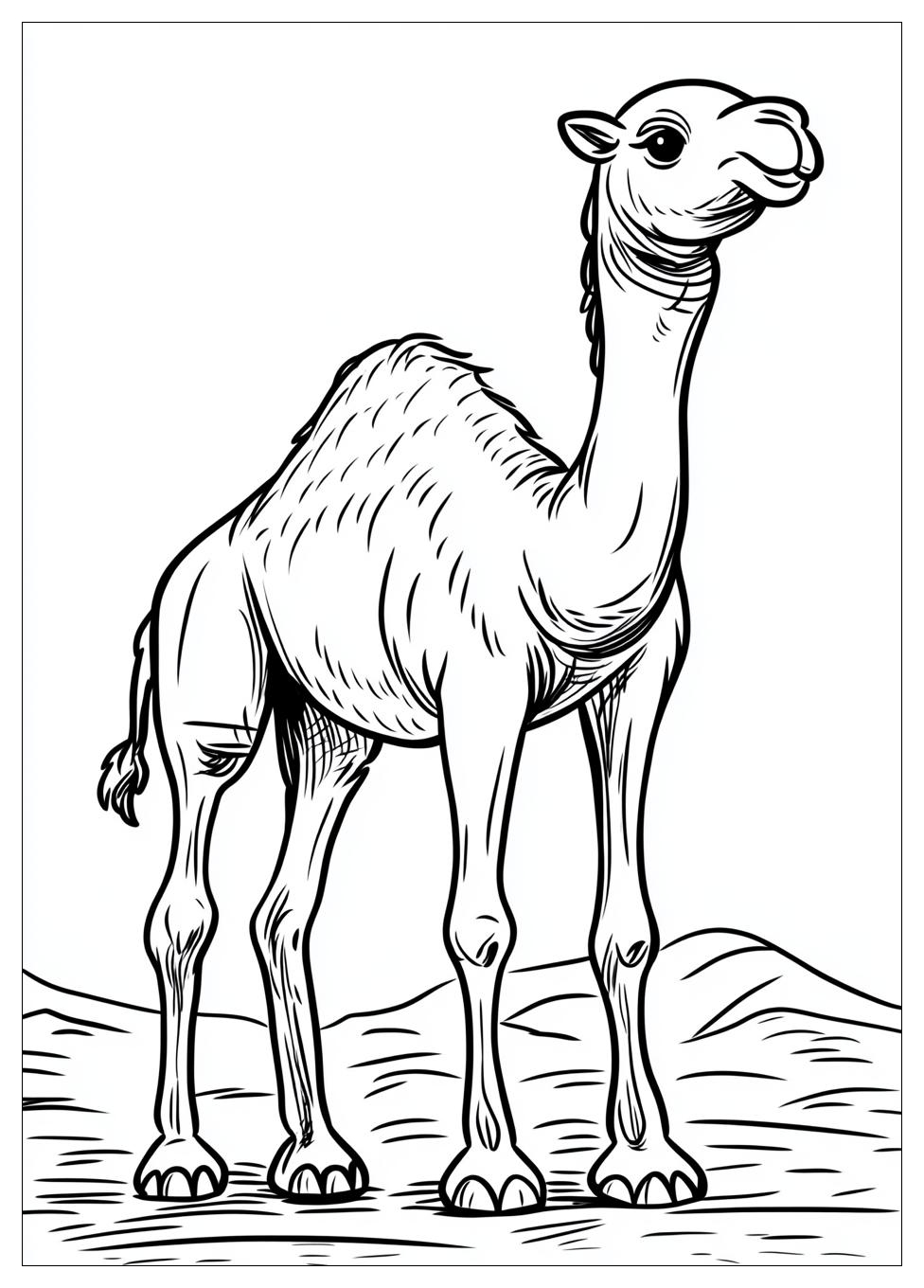 Free Printable Camel Coloring Pages 4 Camel Coloring Pages-4