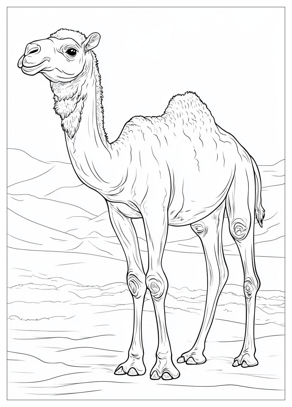 Free Printable Camel Coloring Pages 7 Camel Coloring Pages-7