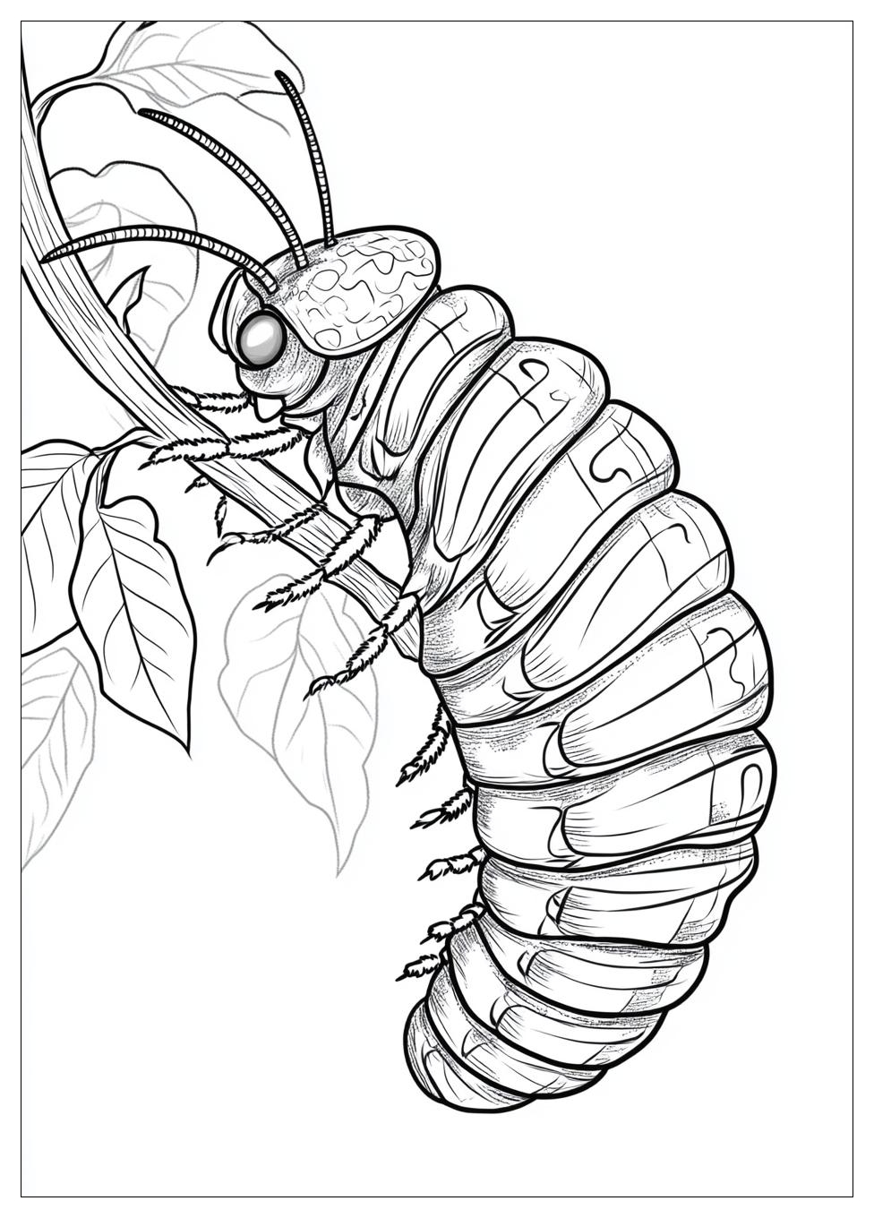 Caterpillar Coloring Pages-16