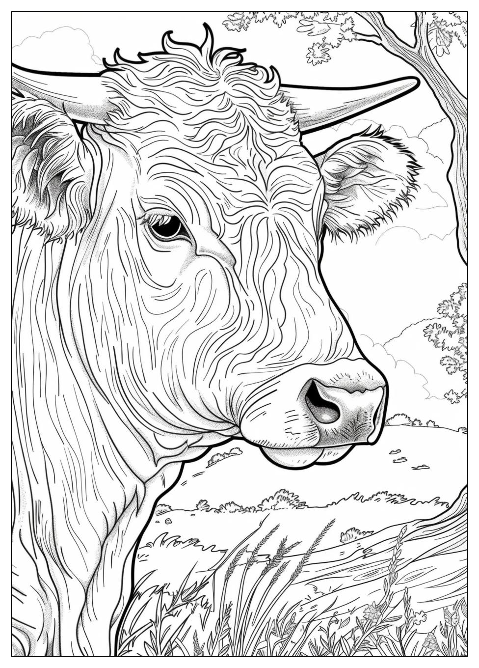 Cattle Coloring Pages-10