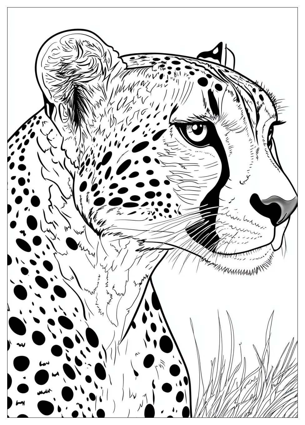 Cheetah Coloring Pages-13