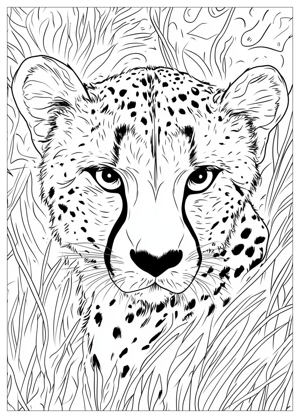 Cheetah Coloring Pages-4