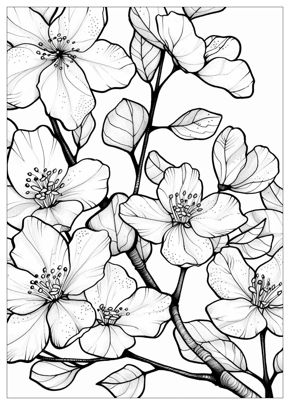Cherry Blossom Coloring Pages-1