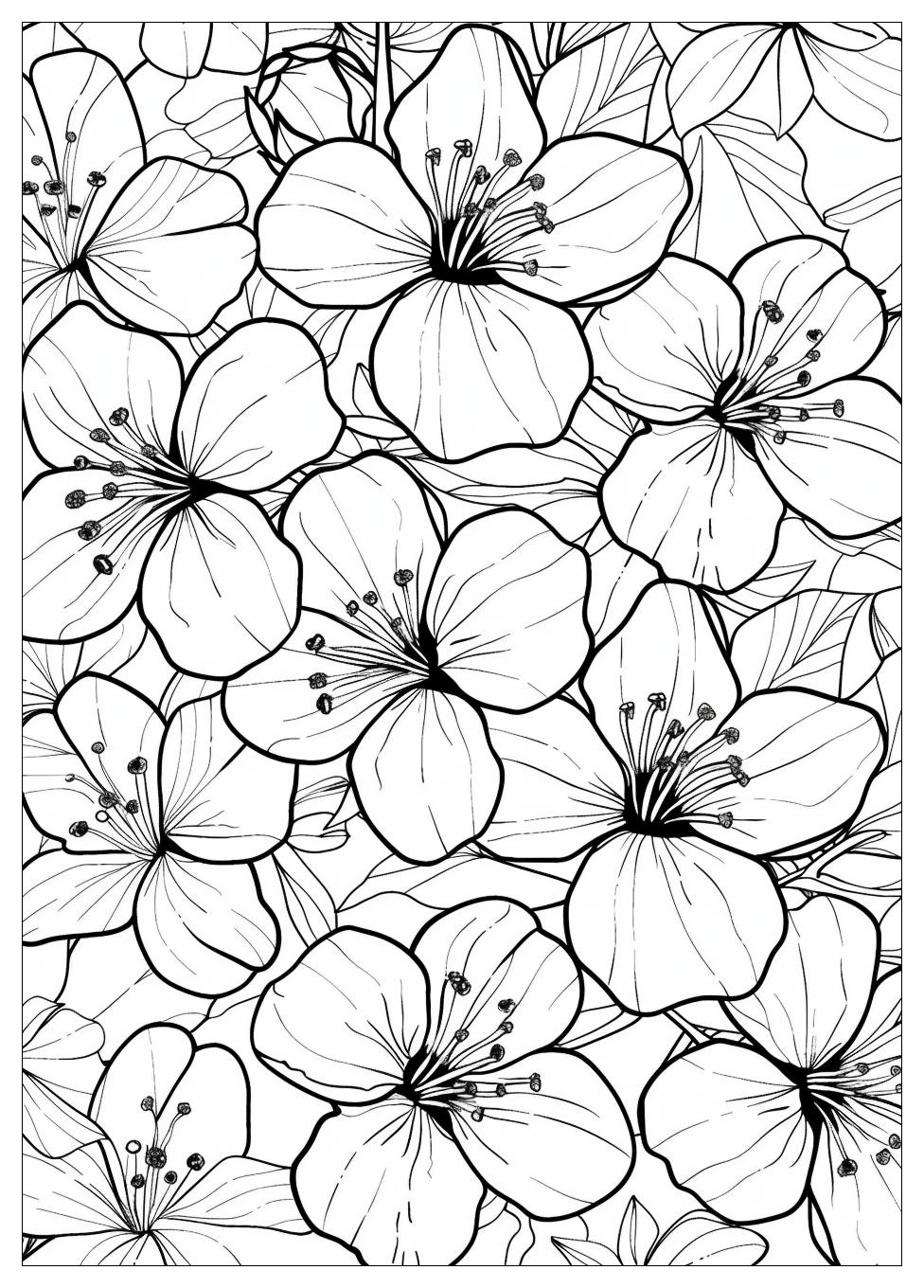 Cherry Blossom Coloring Pages-10