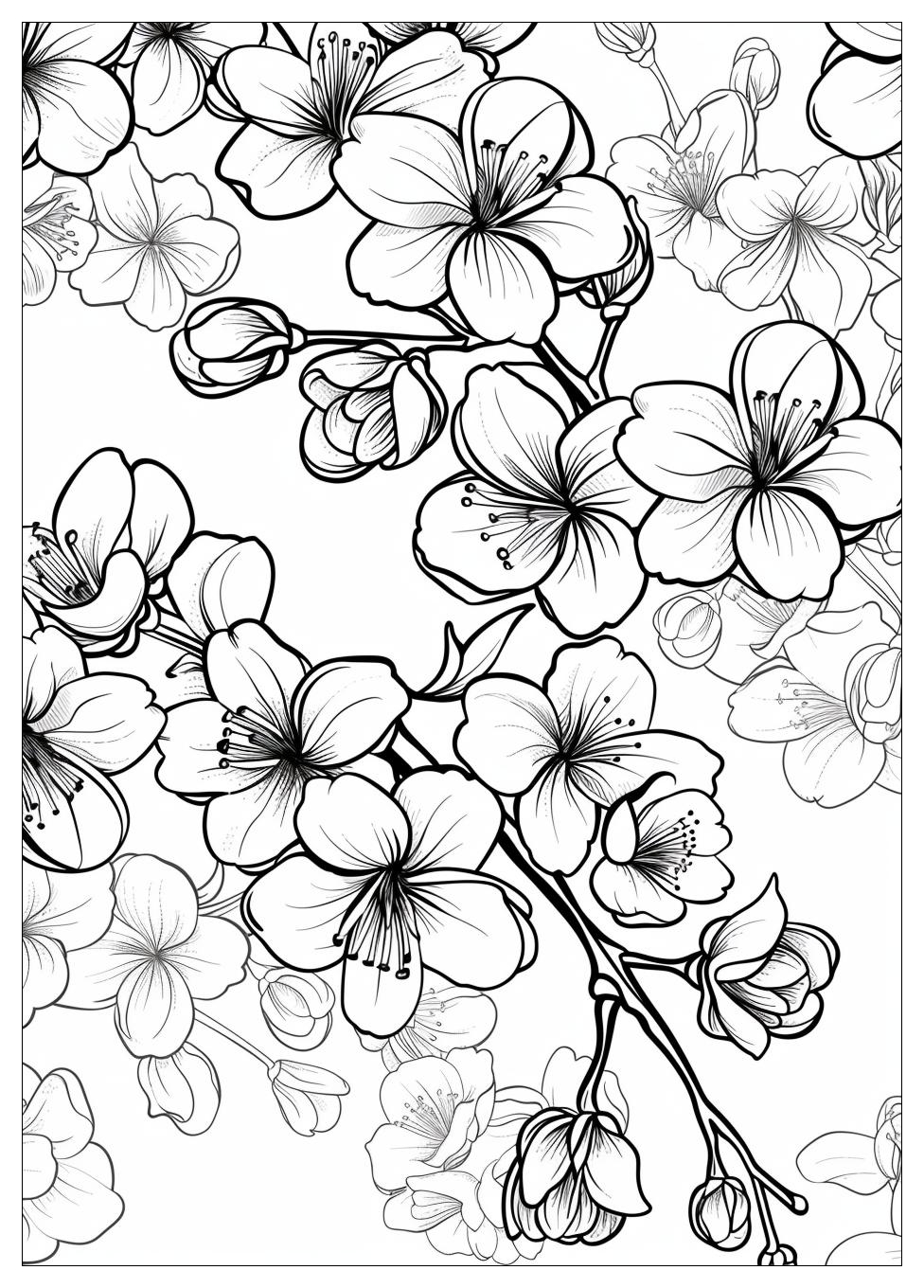 Cherry Blossom Coloring Pages-11