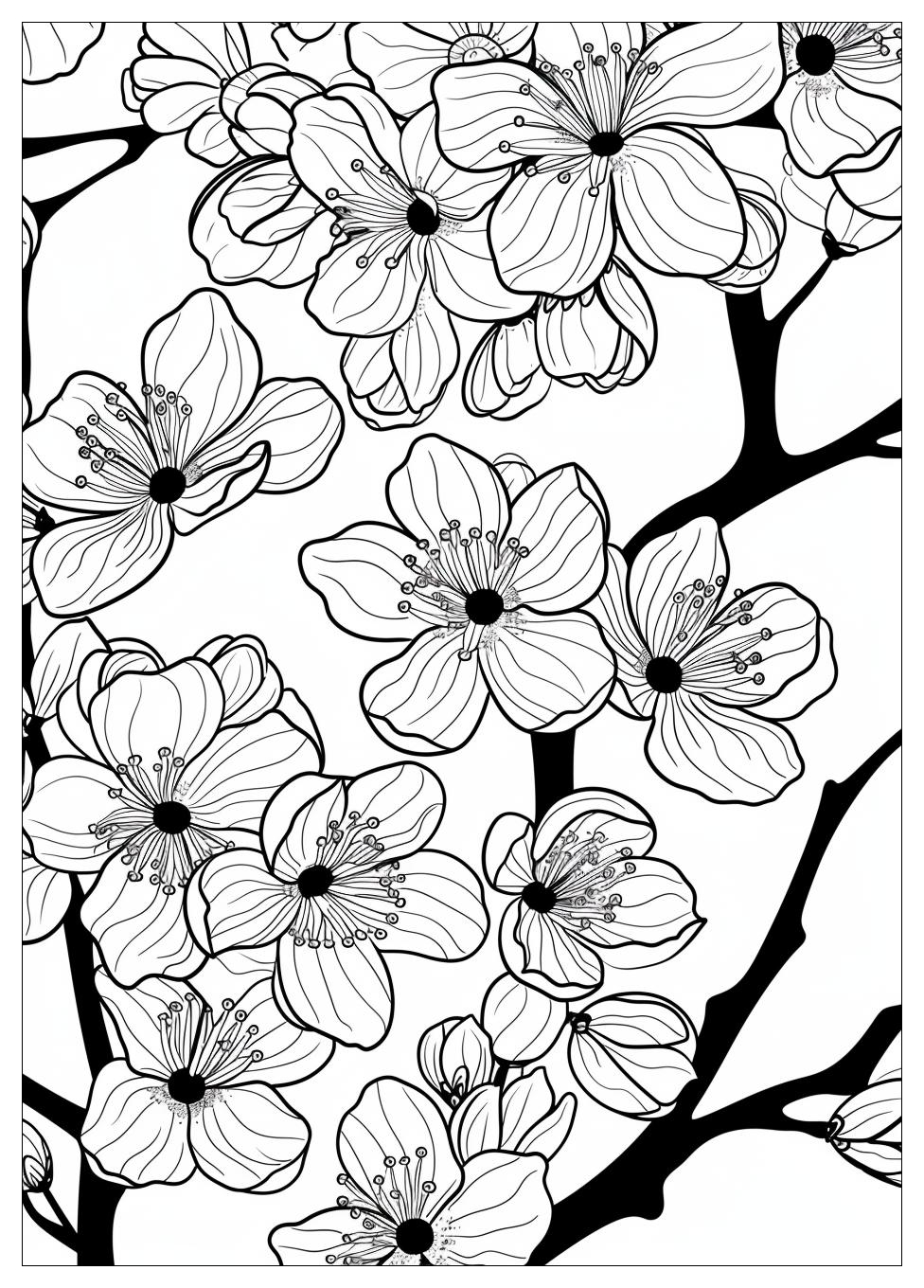 Cherry Blossom Coloring Pages-12
