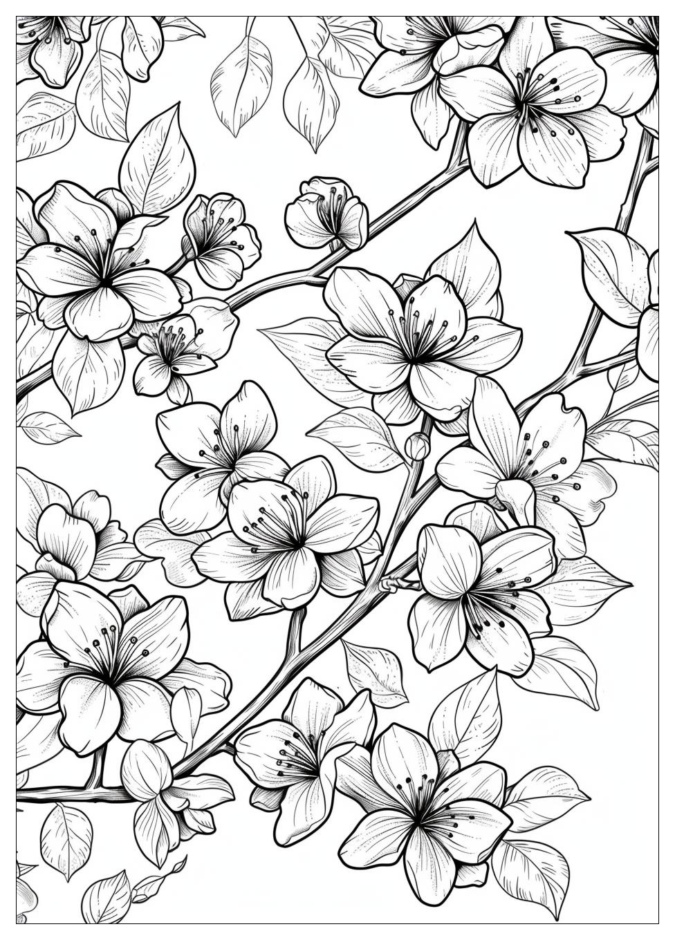Cherry Blossom Coloring Pages-13
