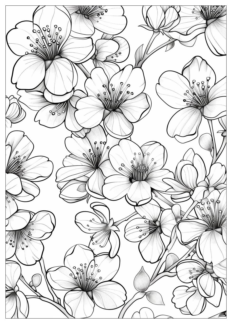 Cherry Blossom Coloring Pages-14