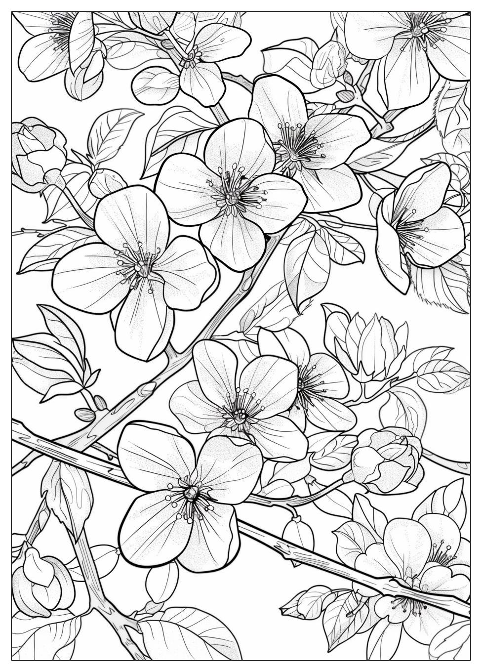 Cherry Blossom Coloring Pages-15