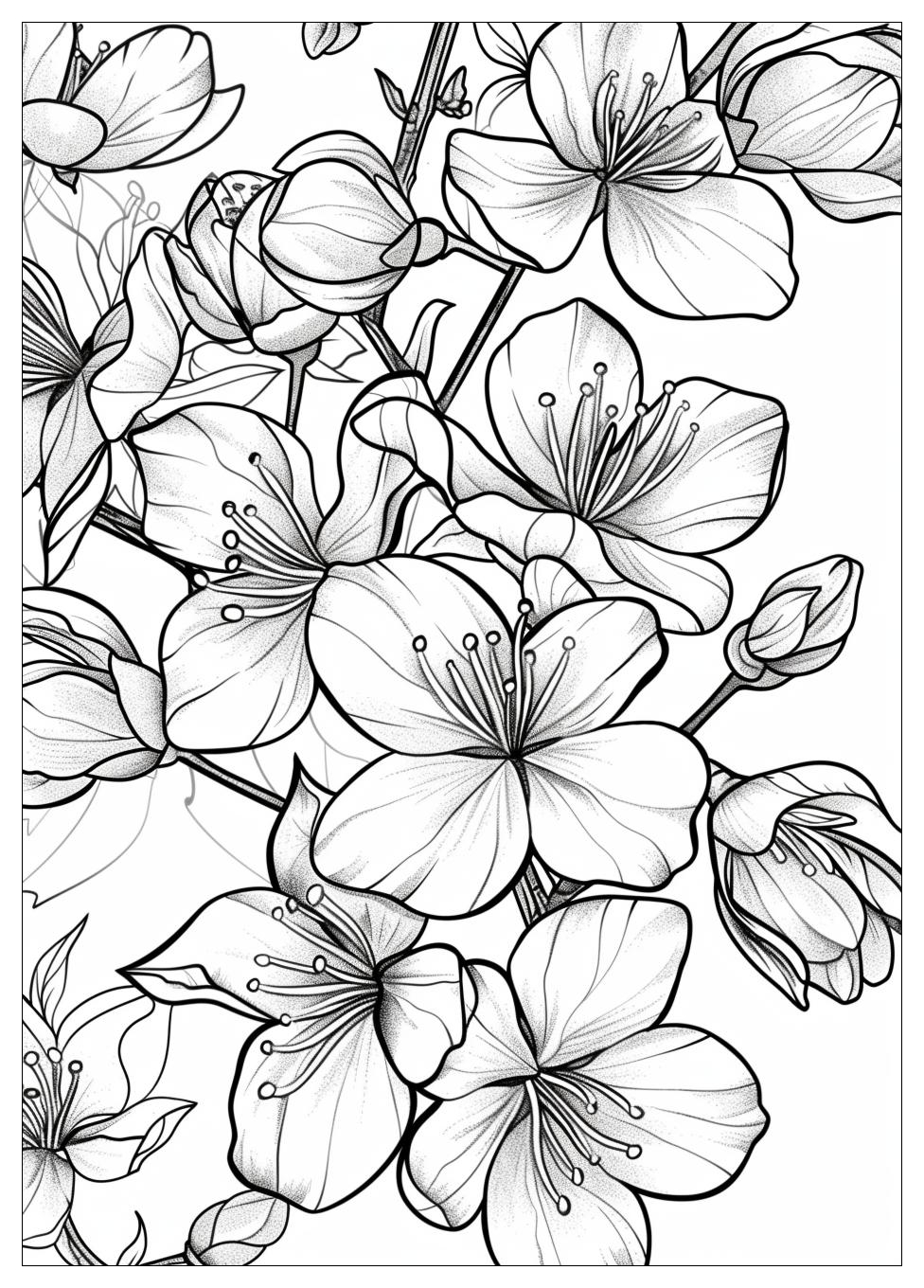 Cherry Blossom Coloring Pages-16