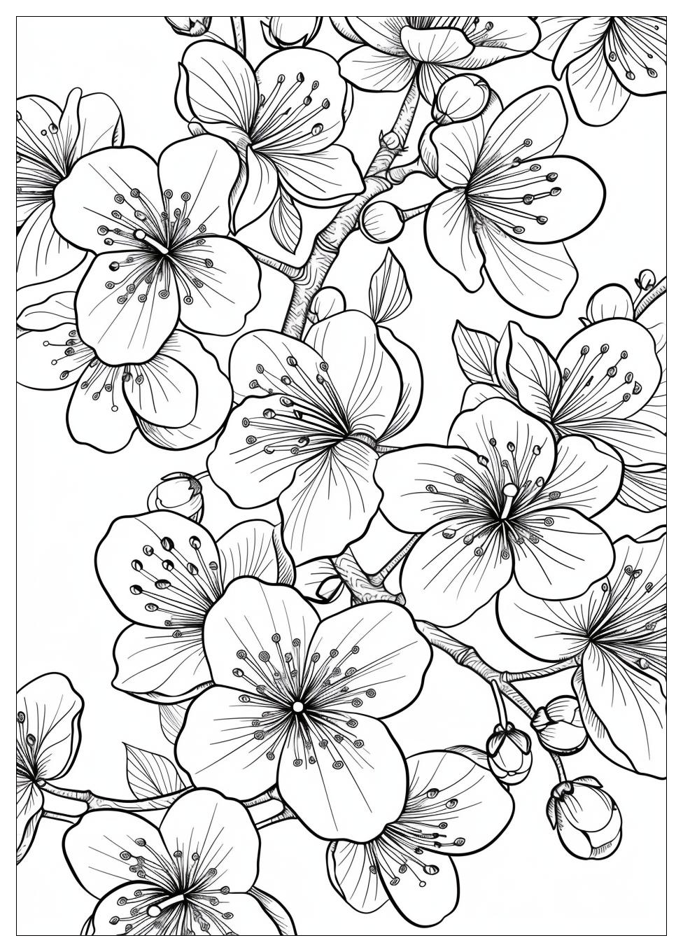 Cherry Blossom Coloring Pages-17