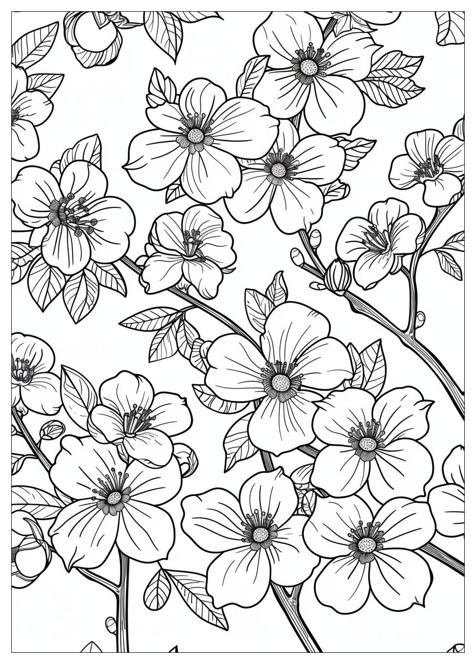 Cherry Blossom Coloring Pages-18