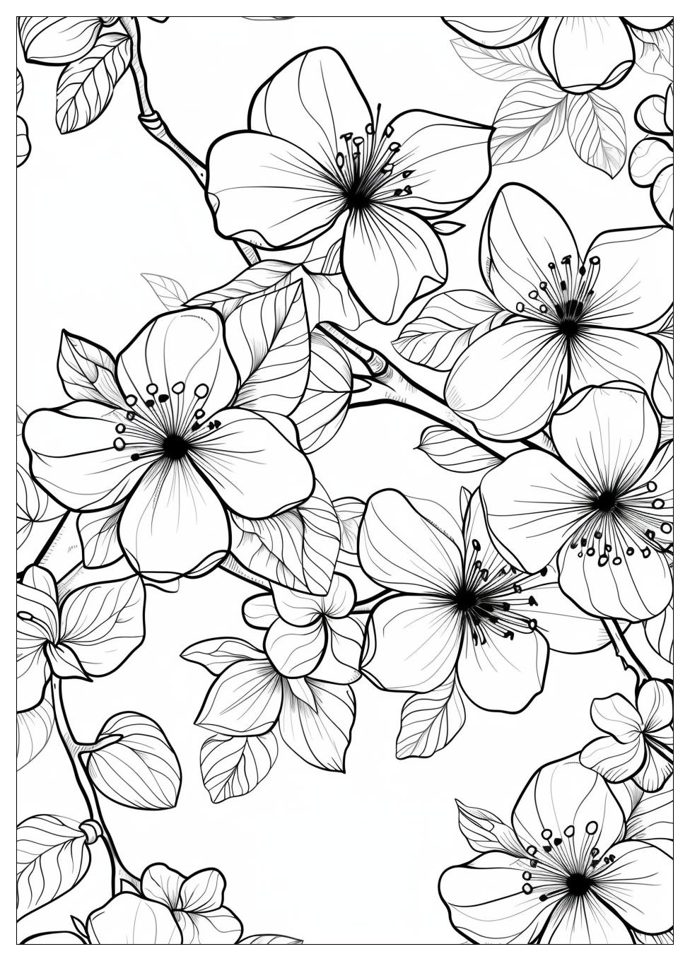 Cherry Blossom Coloring Pages-19