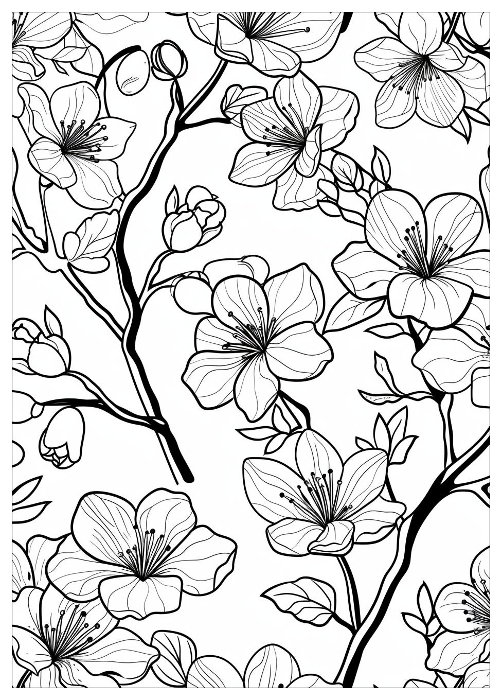 Cherry Blossom Coloring Pages-2