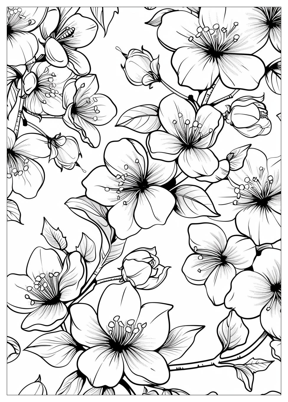 Cherry Blossom Coloring Pages-20