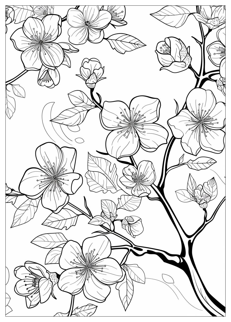 Cherry Blossom Coloring Pages-3