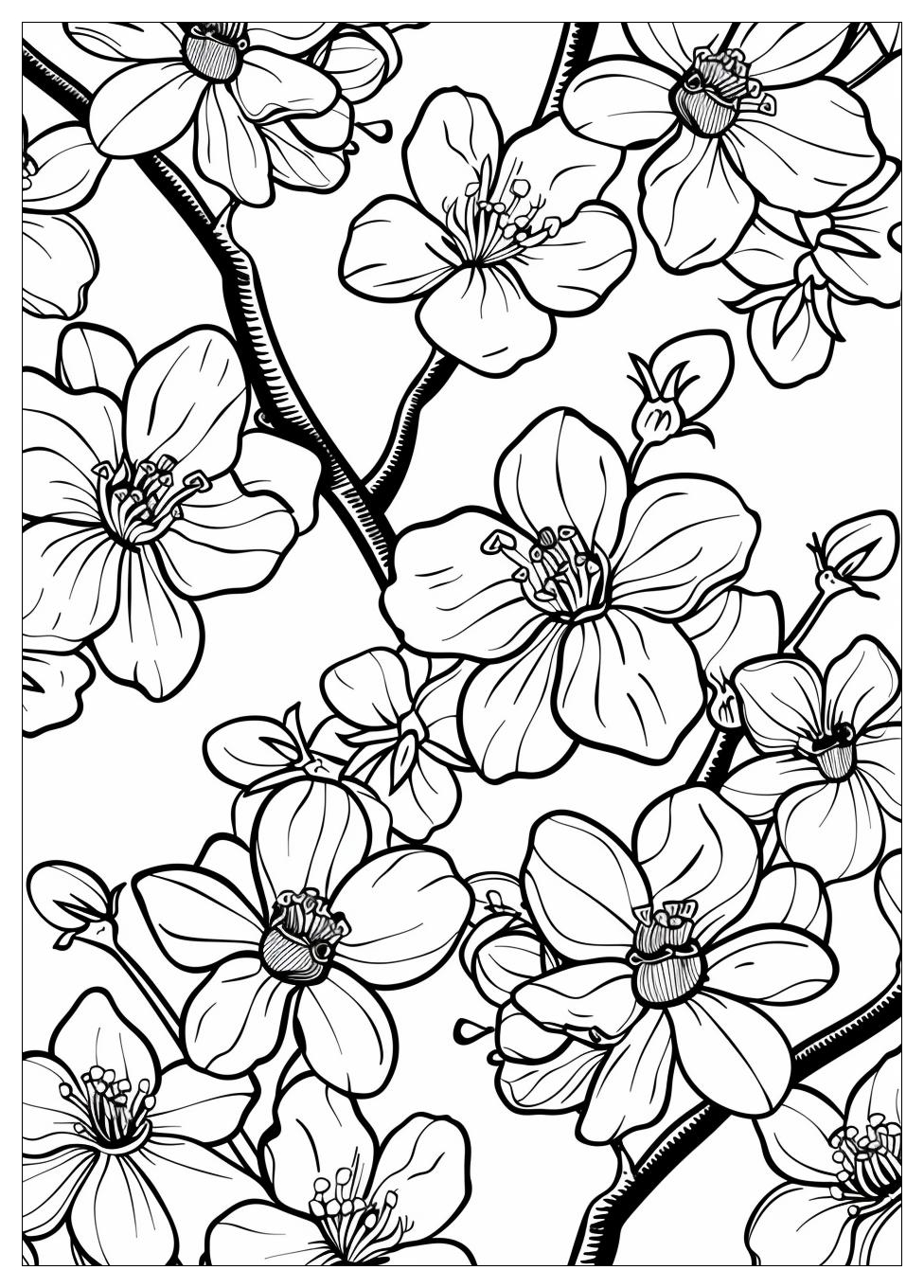 Cherry Blossom Coloring Pages-6