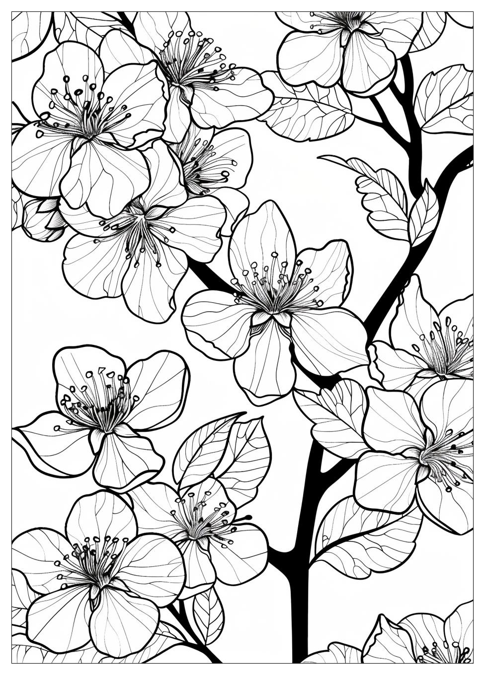 Cherry Blossom Coloring Pages-7