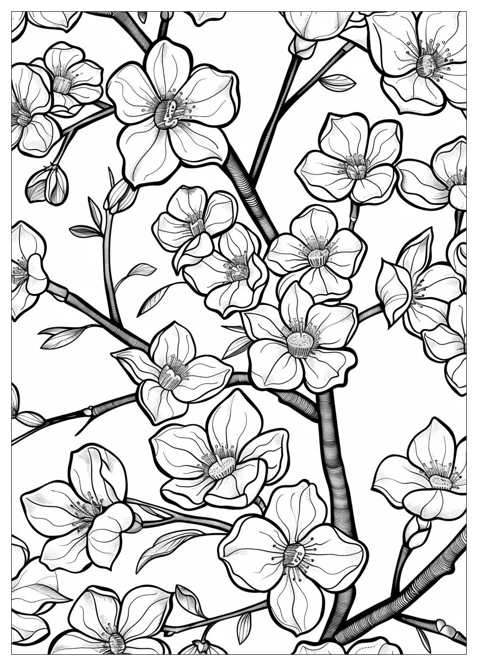 Cherry Blossom Coloring Pages-8