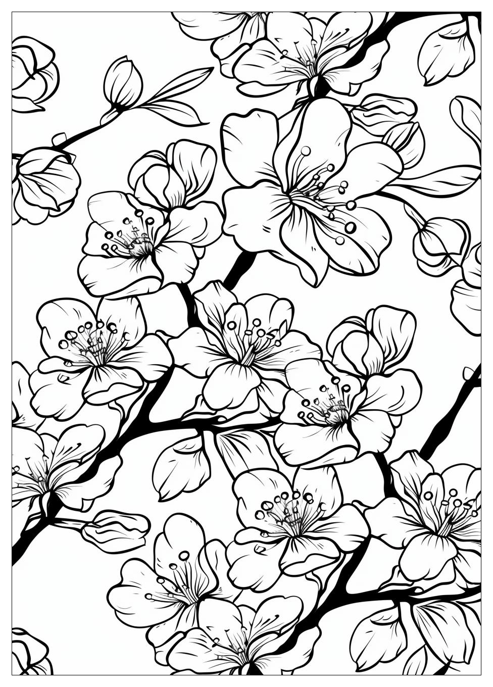 Cherry Blossom Coloring Pages-9