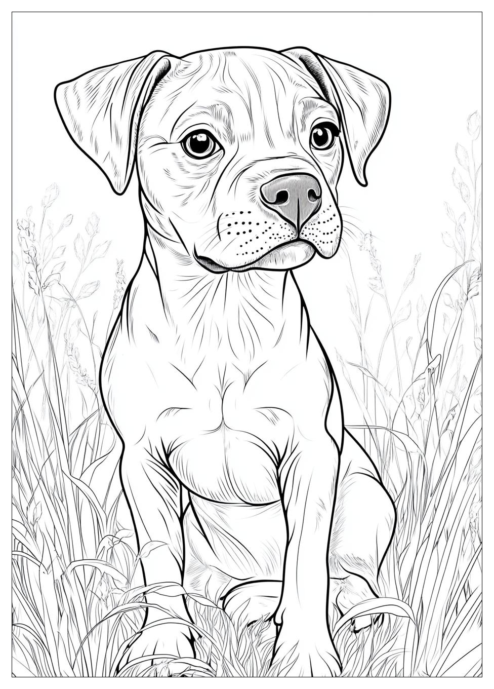 Dog Coloring Pages-14
