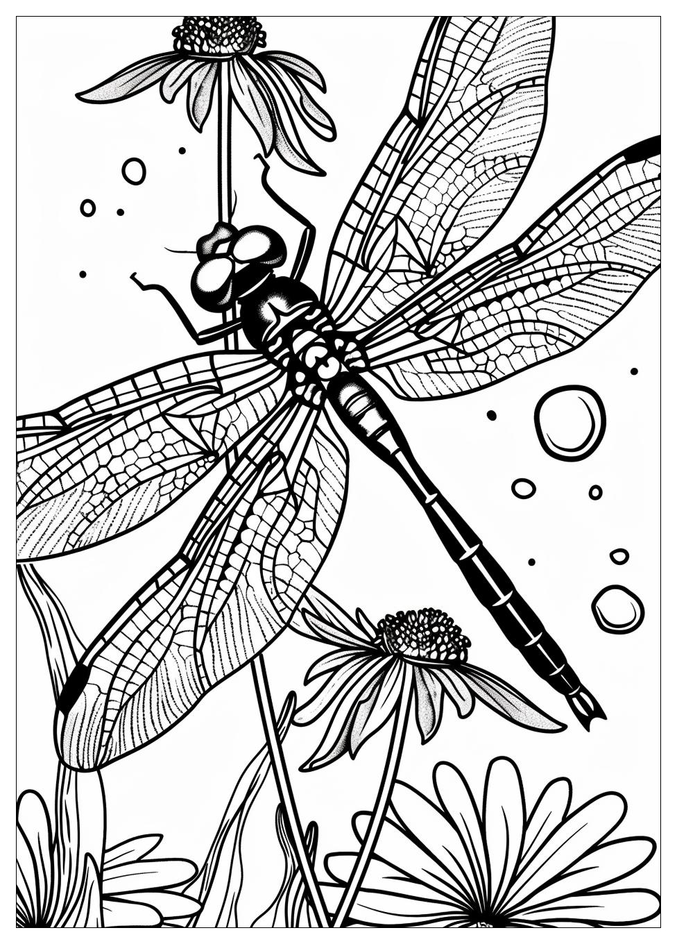Dragonfly Coloring Pages-10