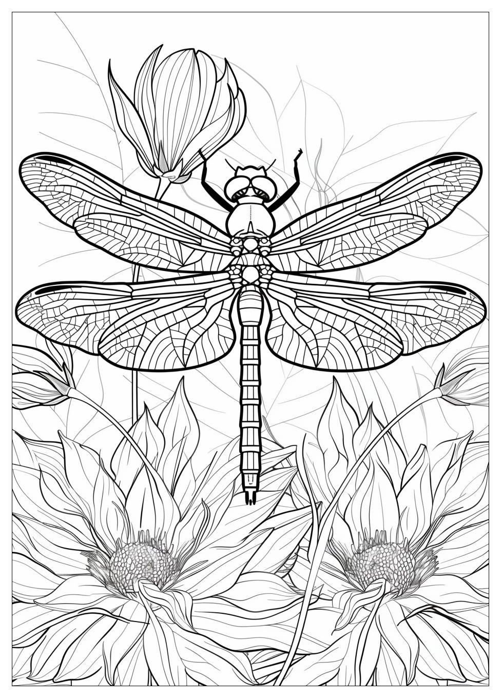 Dragonfly Coloring Pages-4