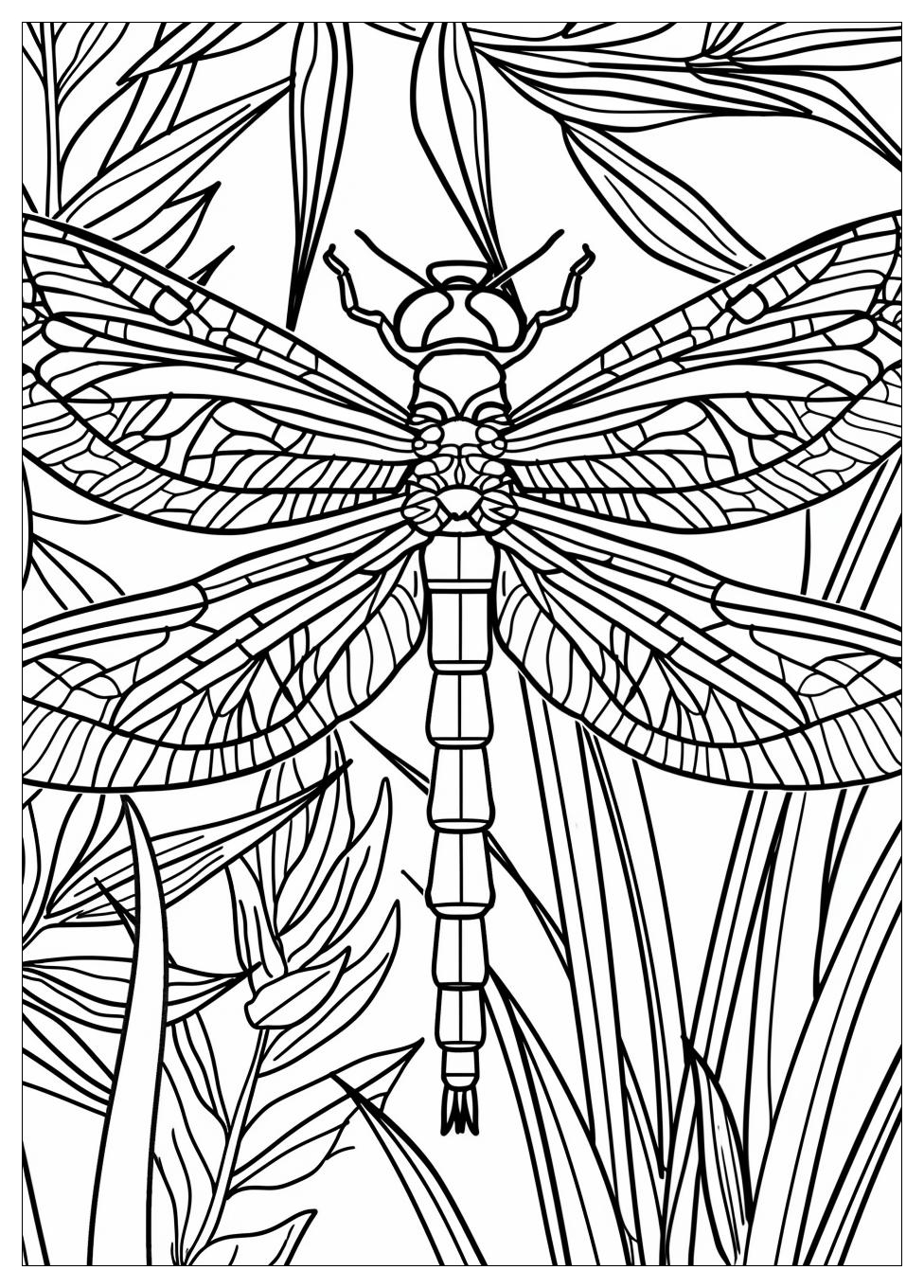 Dragonfly Coloring Pages-5