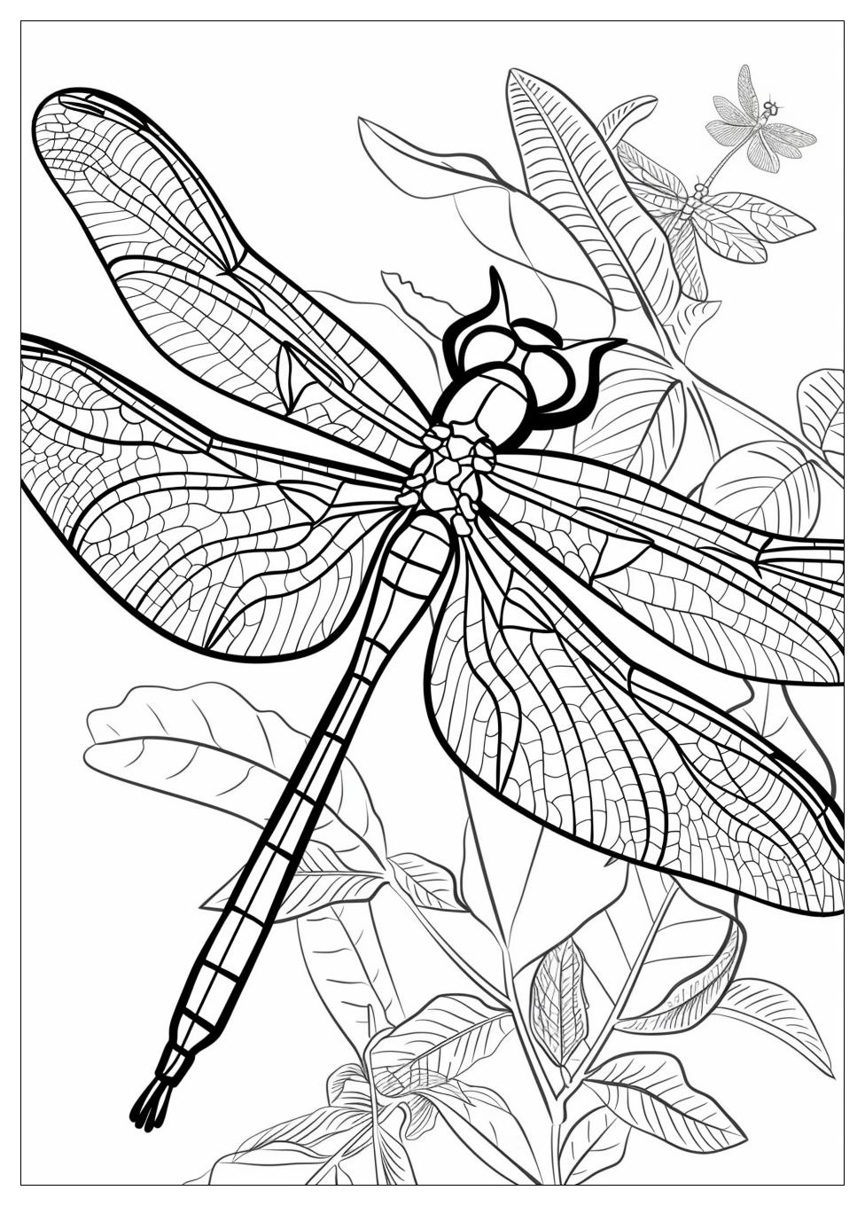 Dragonfly Coloring Pages-7