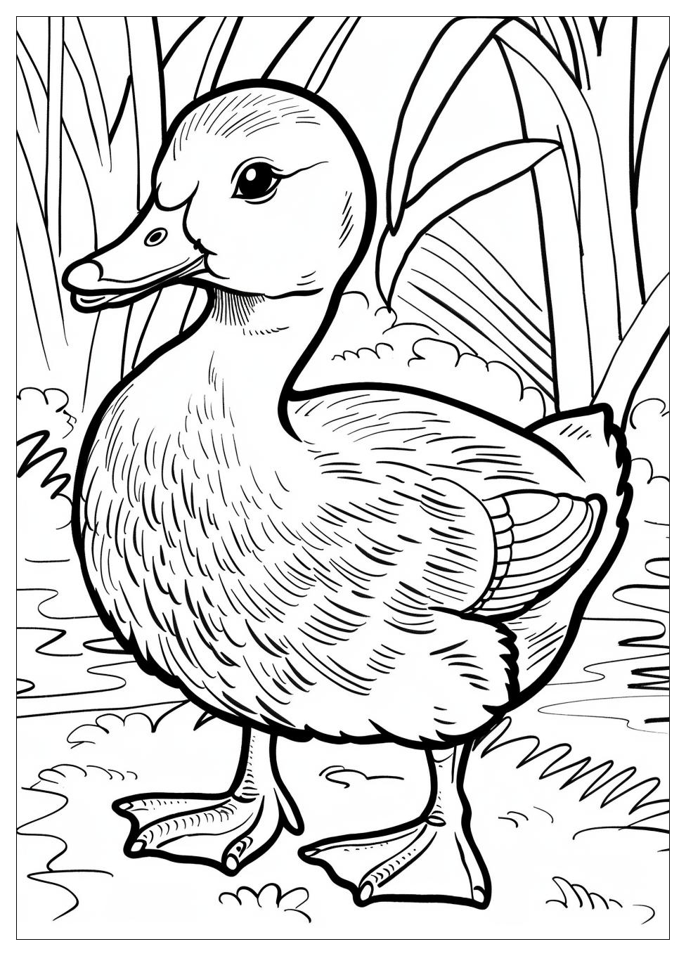 Duck Coloring Pages-11