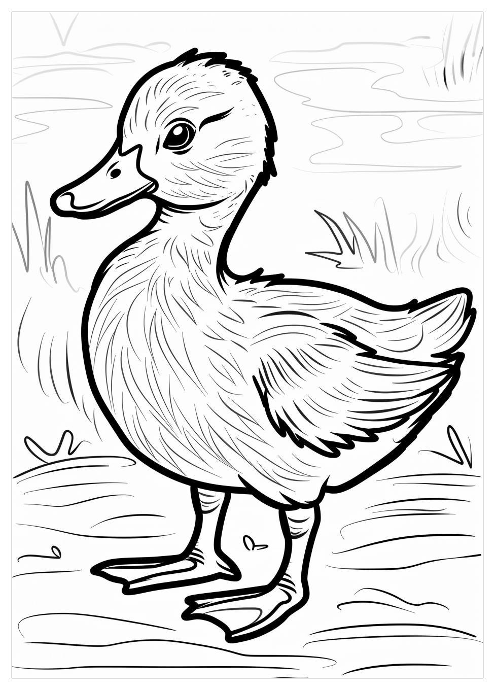 Duck Coloring Pages-12