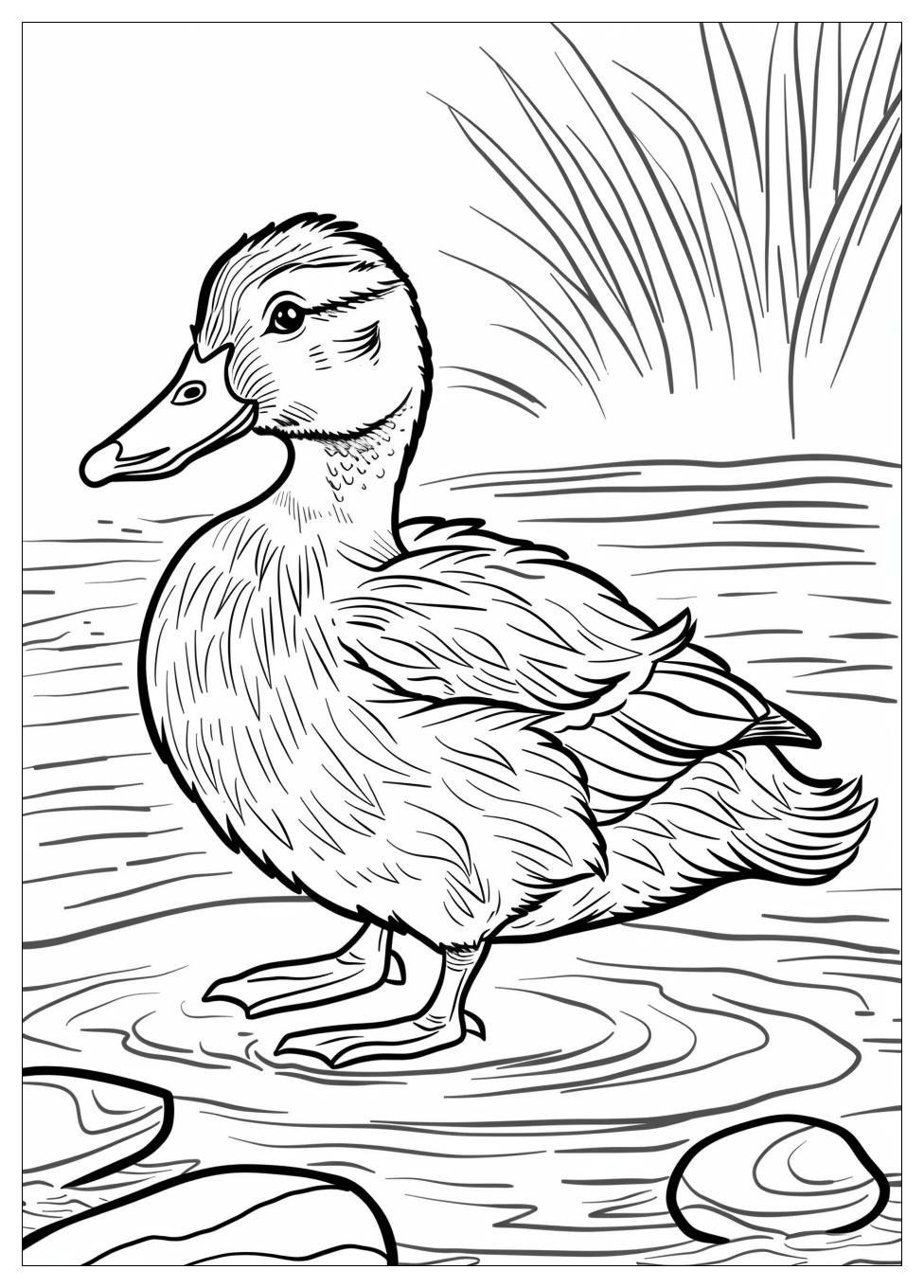 Duck Coloring Pages-13