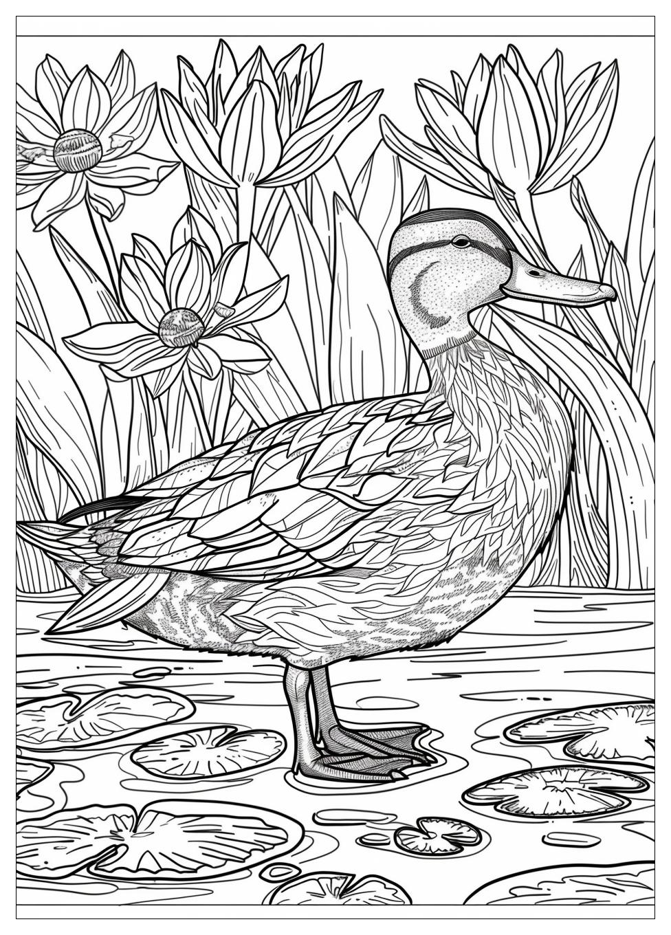 Duck Coloring Pages-14