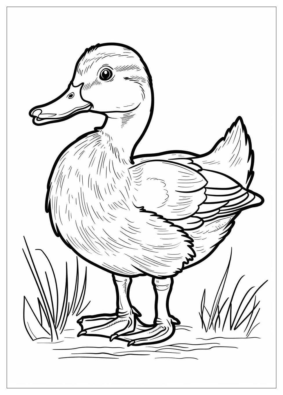 Duck Coloring Pages-16