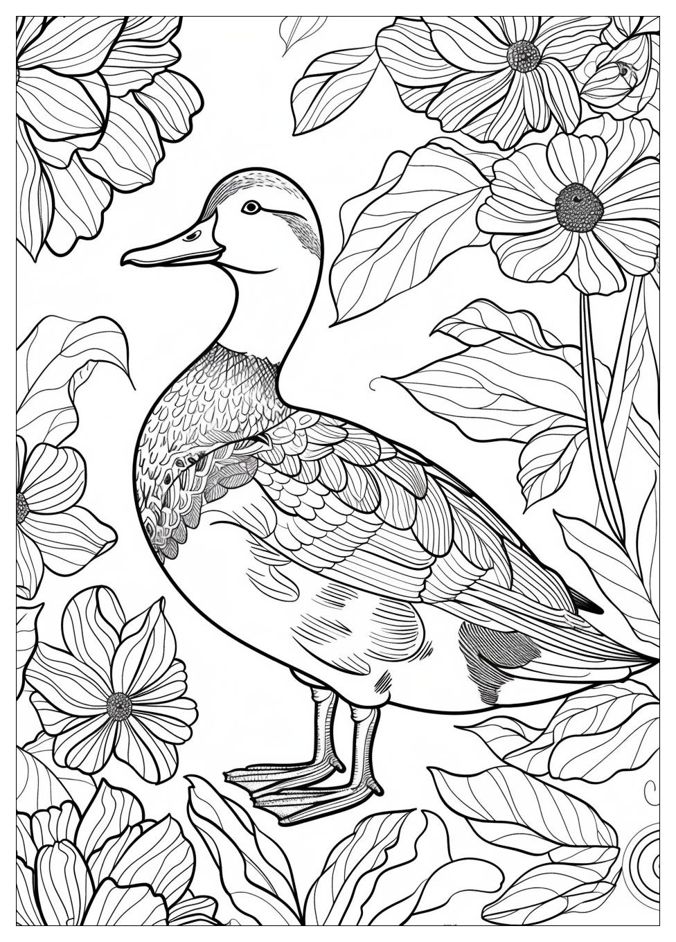 Duck Coloring Pages-18