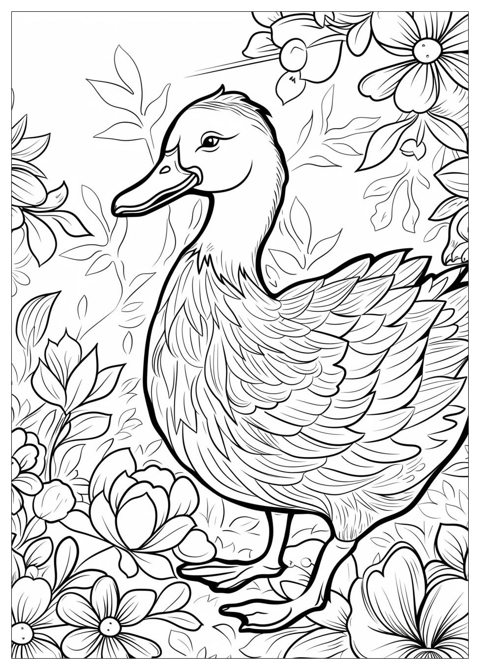Duck Coloring Pages-19