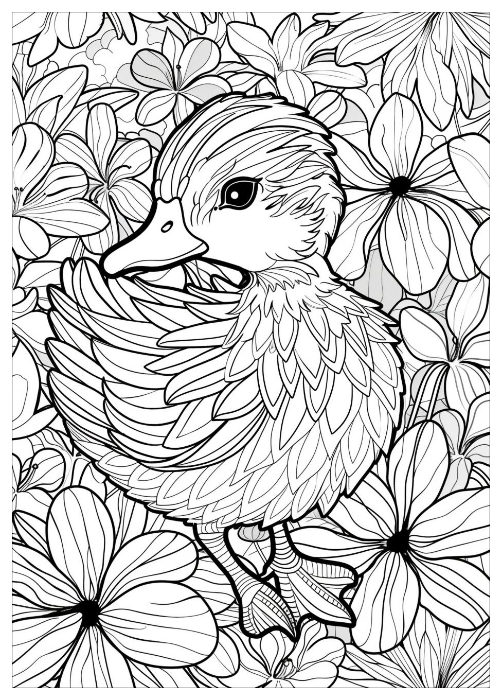 Duck Coloring Pages-20