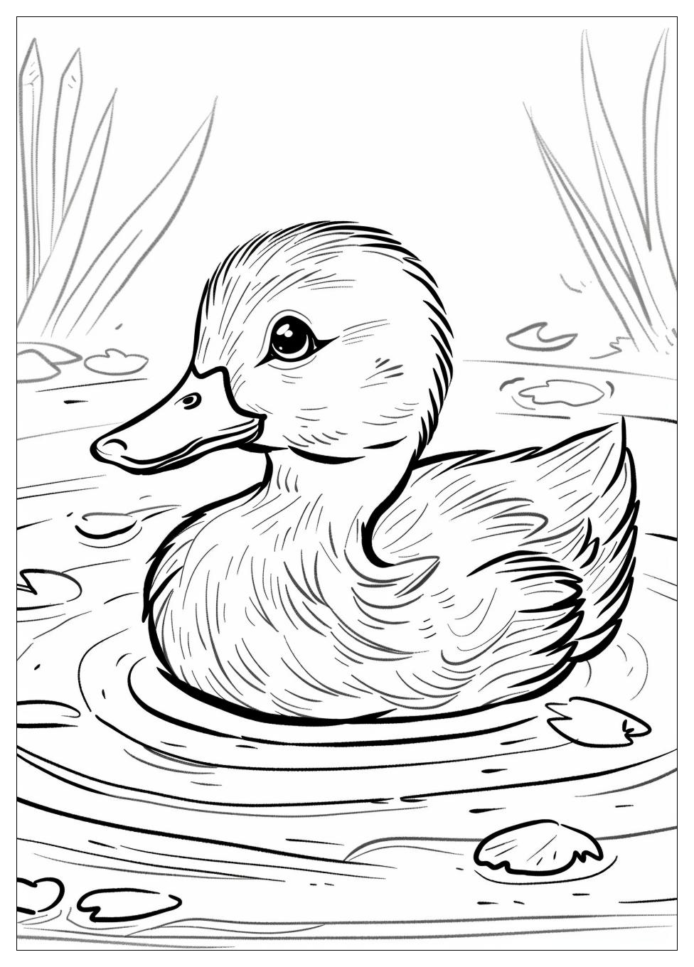 Duck Coloring Pages-5