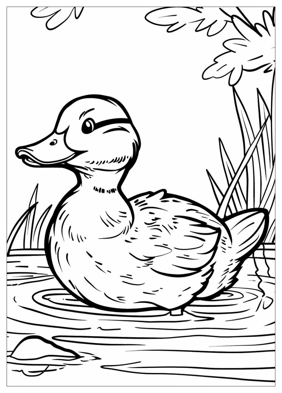 Duck Coloring Pages-7