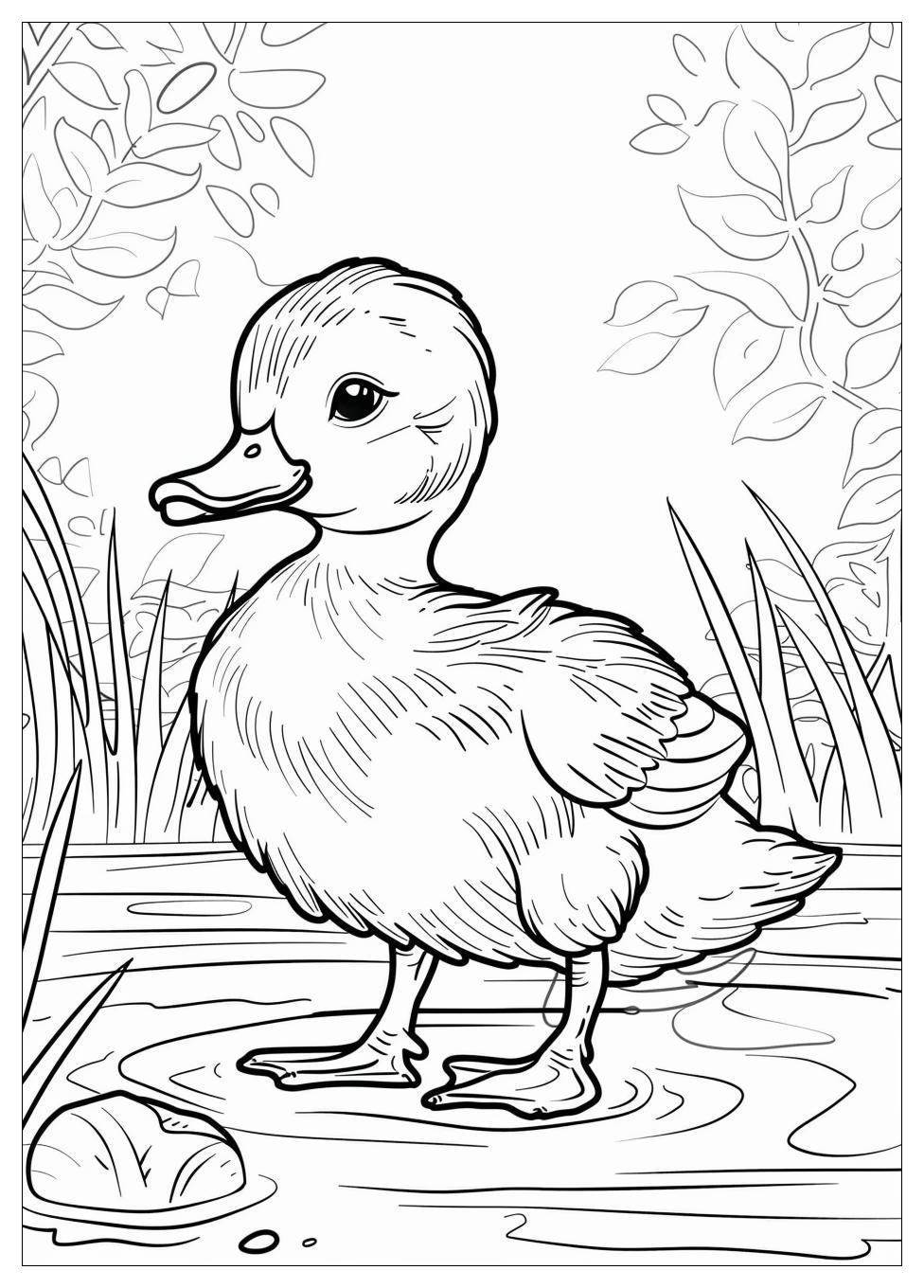 Duck Coloring Pages-8