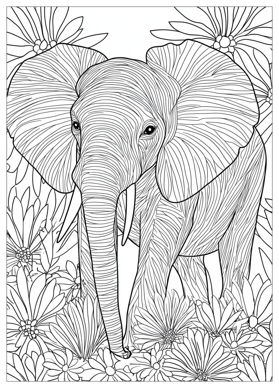 Elephant Coloring Pages-13