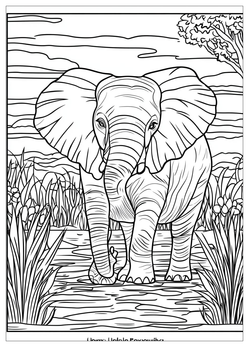 Elephant Coloring Pages-17