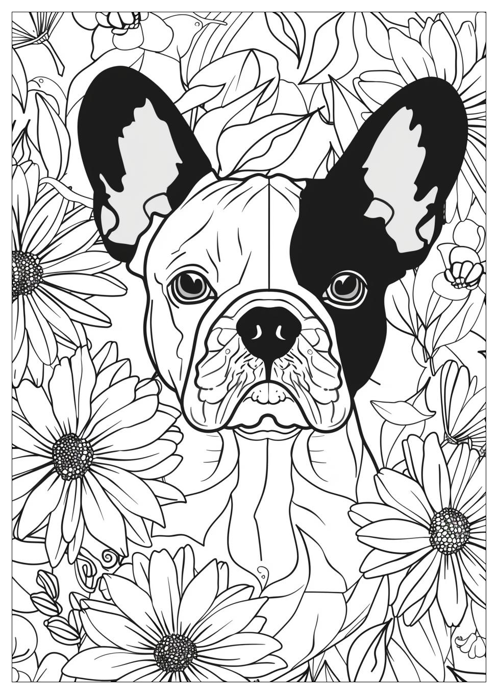 French Bulldog Coloring Pages-13