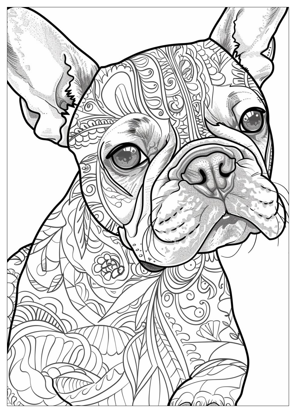 French Bulldog Coloring Pages-19