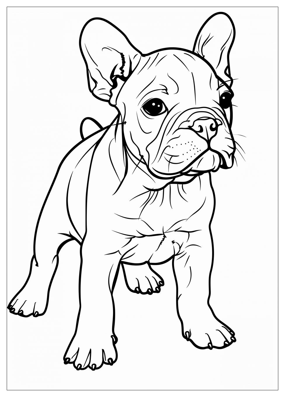 French Bulldog Coloring Pages-3