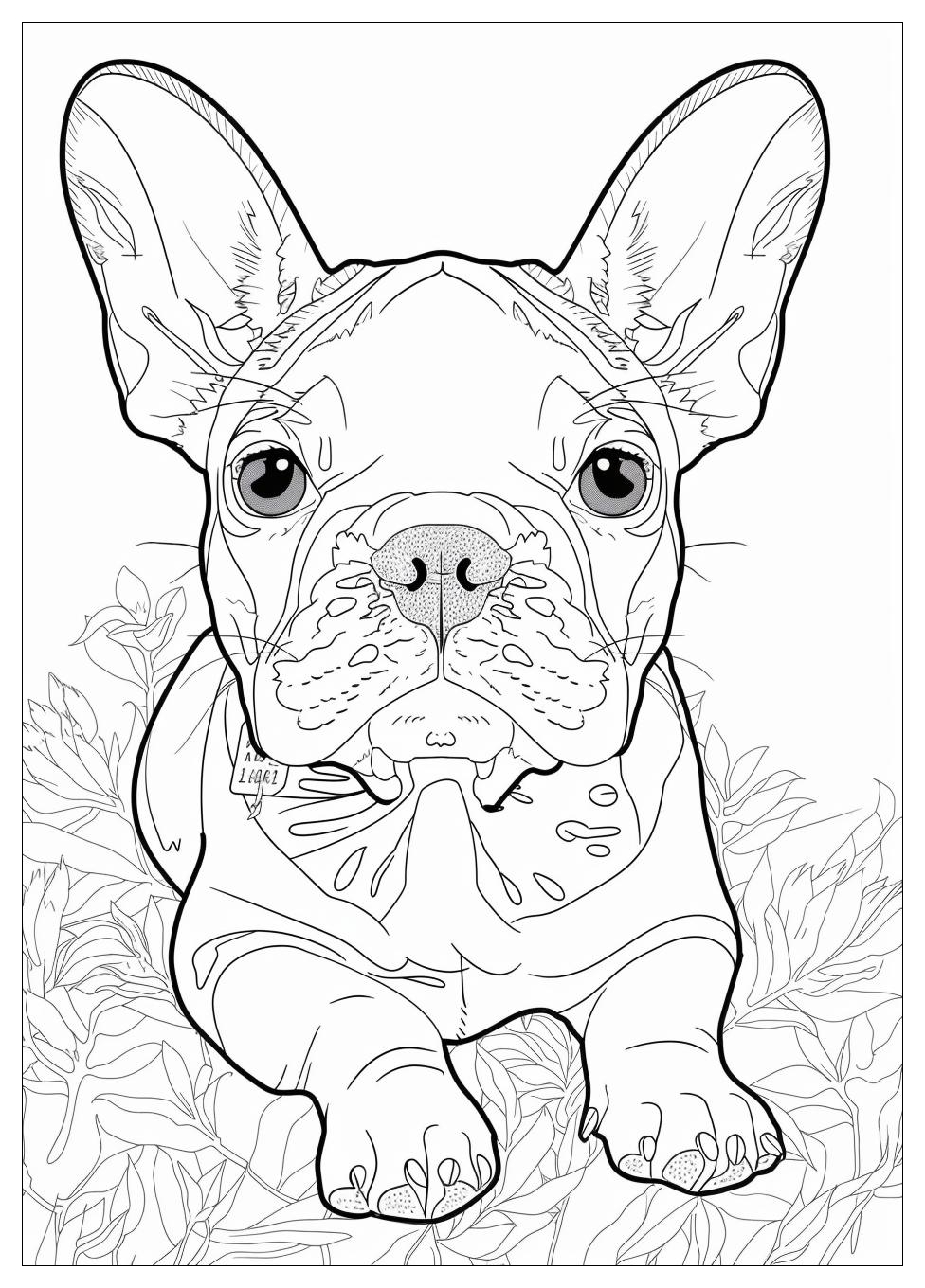 French Bulldog Coloring Pages-7