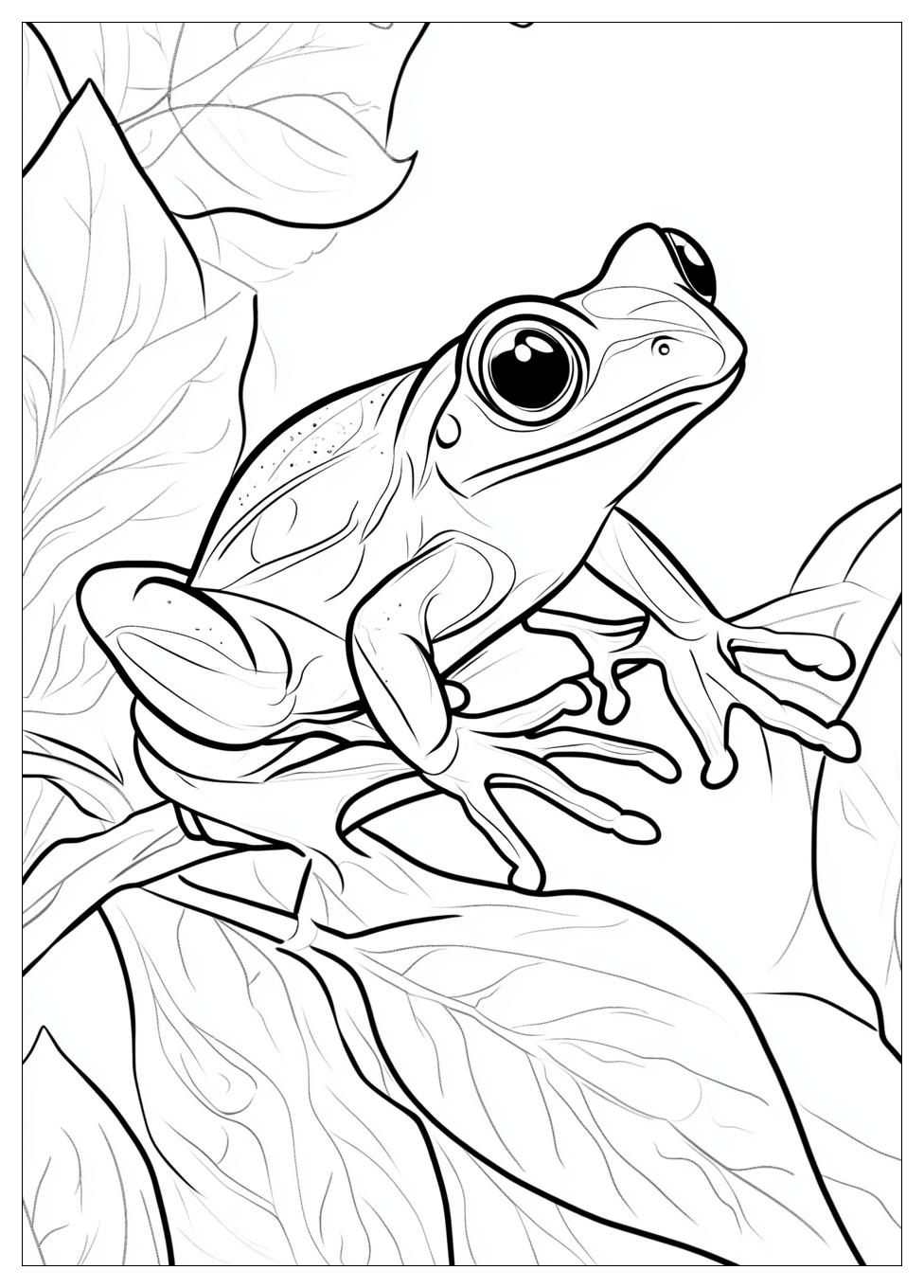 Frog Coloring Pages-1