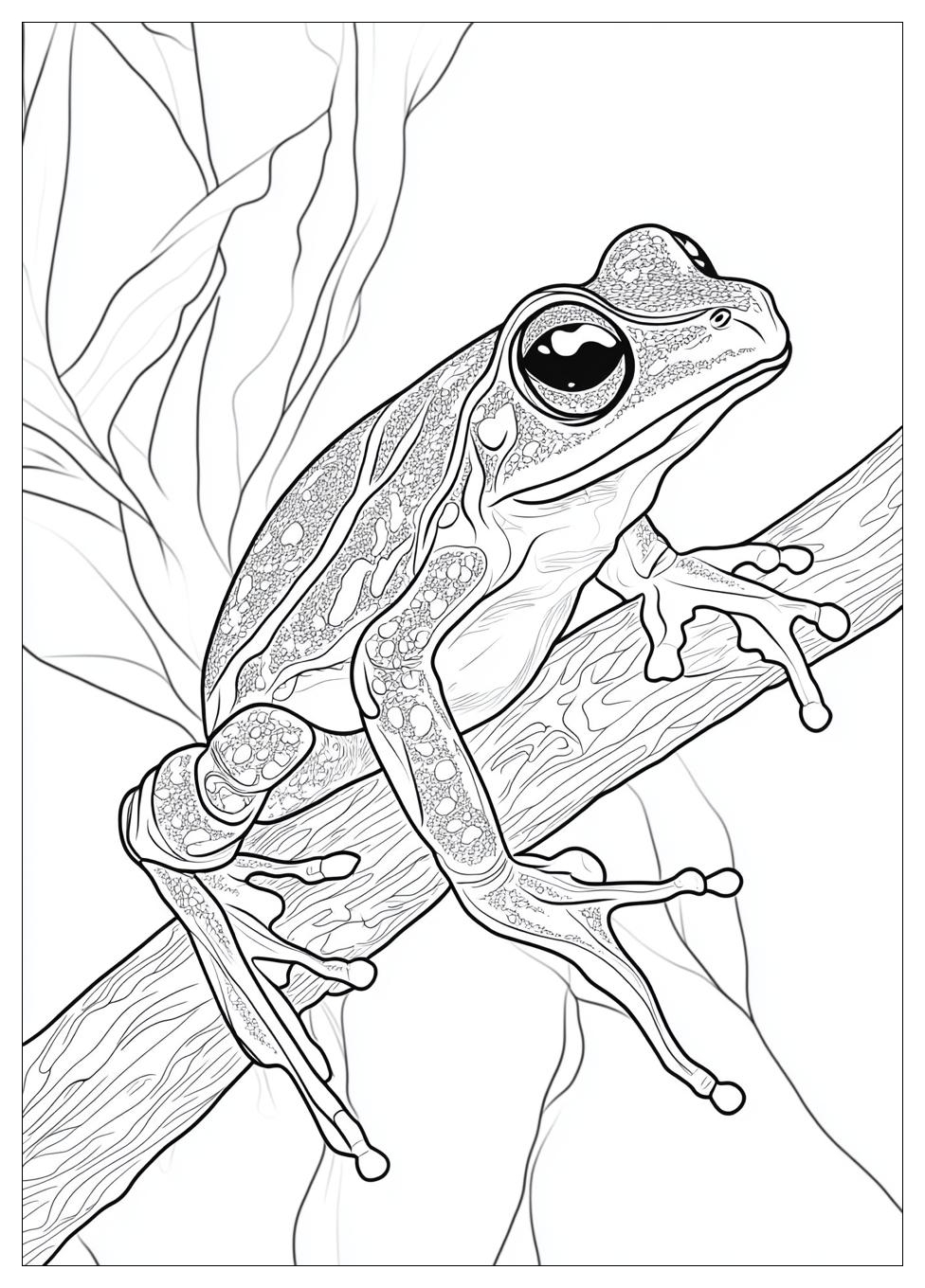 Frog Coloring Pages-14
