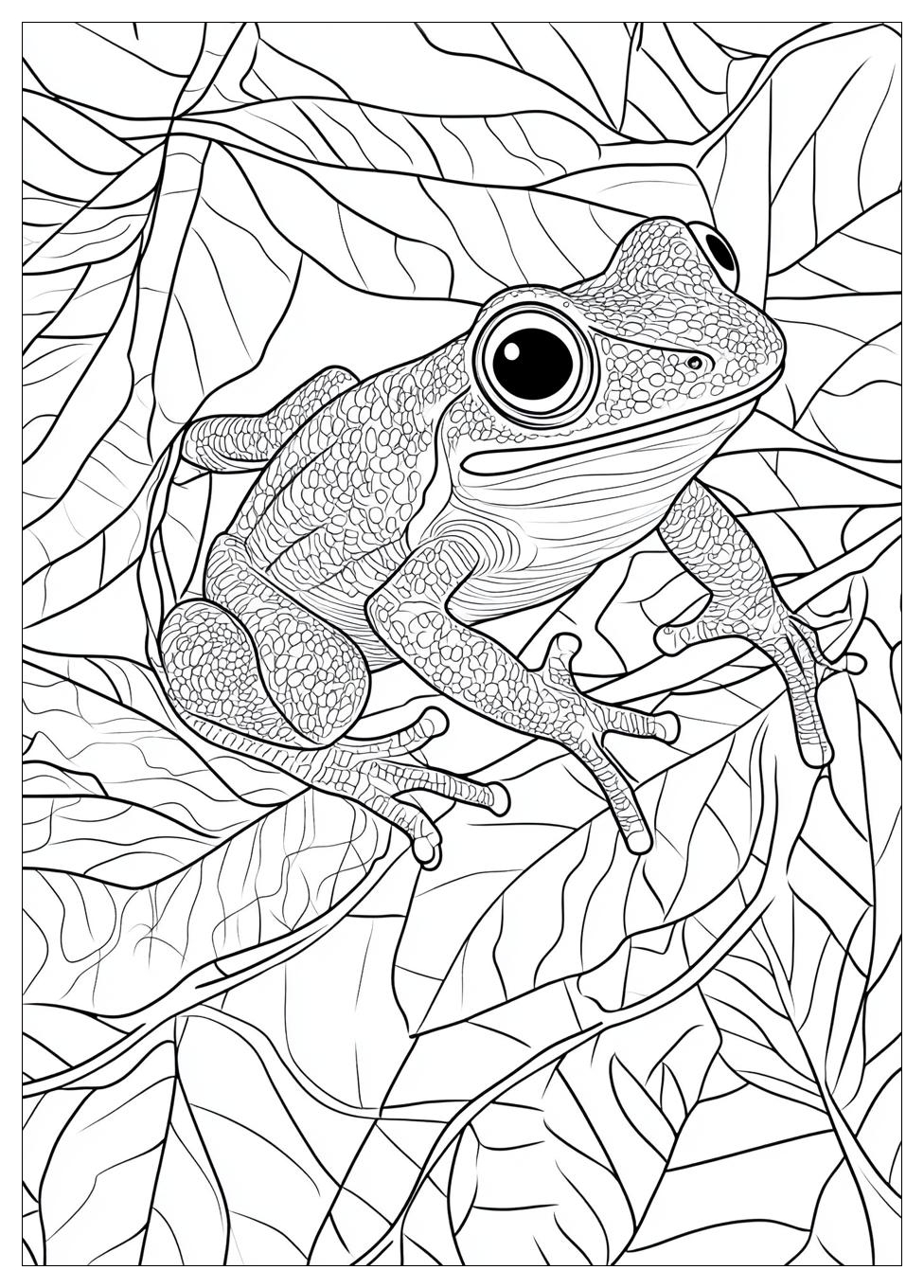Frog Coloring Pages-17