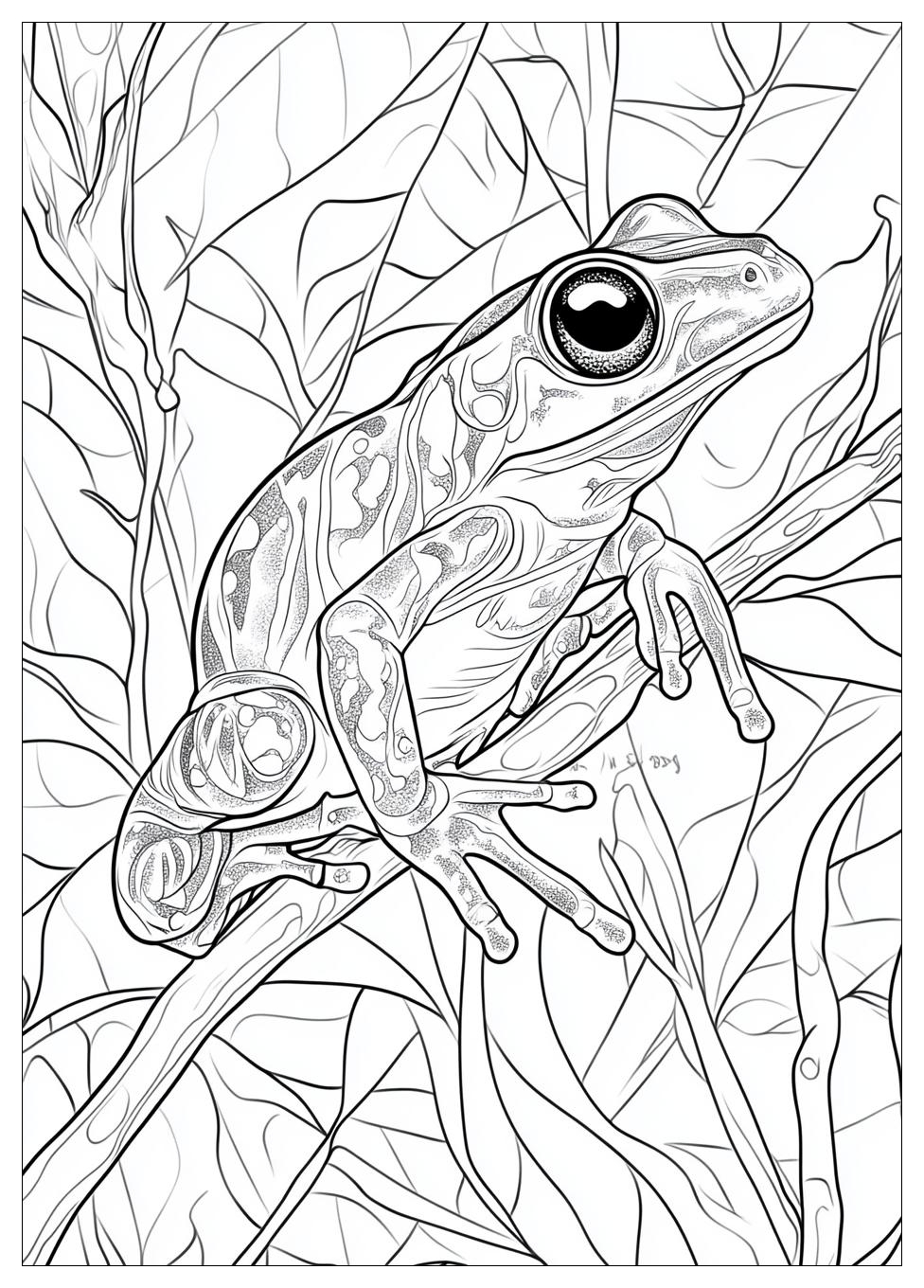 Frog Coloring Pages-20